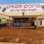 קטיף עצמי אל-רום