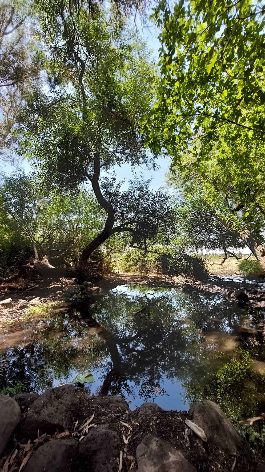 עין פחורה צילום יהודה ויינברג